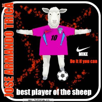 Fotbal - hai dinamo :))))) - PictureS